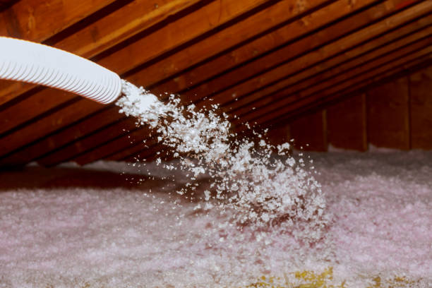 Best Commercial Insulation in Cobden, IL