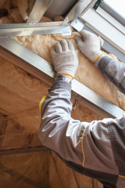 Best Commercial Insulation in Cobden, IL
