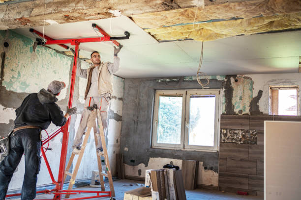 Best Specialized Insulation Services in Cobden, IL