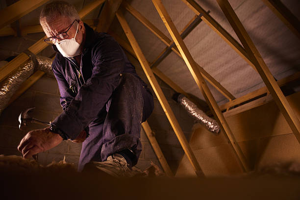 Best Geographic-Specific Insulation Services in Cobden, IL