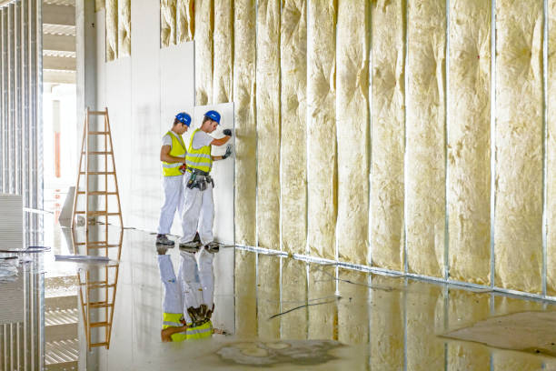 Best DIY Insulation Kits and Guidance in Cobden, IL